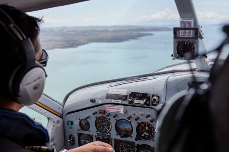 Waiheke Island: 45-minütiger Rundflug durch den Golf von Hauraki und die Stadt