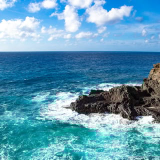 Honolulu: Oahu Sights and Bites Island Tour