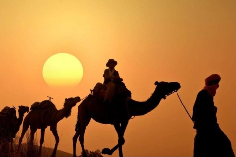 Private Sunset Desert Safari Camel Ride And SandBoarding Group Desert Safari Tour No Camel ride