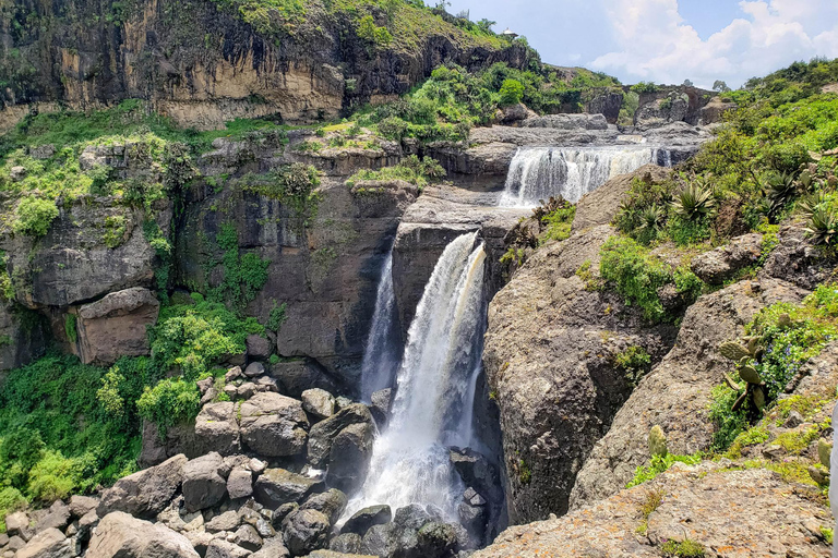 Addis Abeba: Klasztory, dzika przyroda i prywatna wycieczka piesza