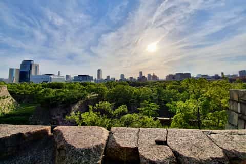 Osaka: Highlights & Hidden Gems Private Walking Tour