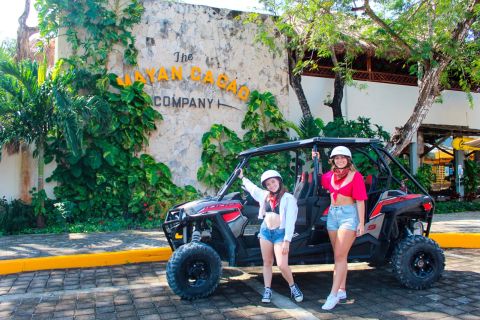 Cozumel: 4x4 Tour to Mayan Cacao Company and Bee Sanctuary