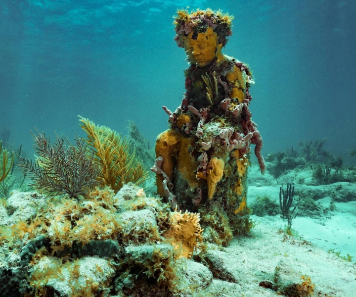 Cancun: MUSA vedenalaisessa museossa snorklauskierros