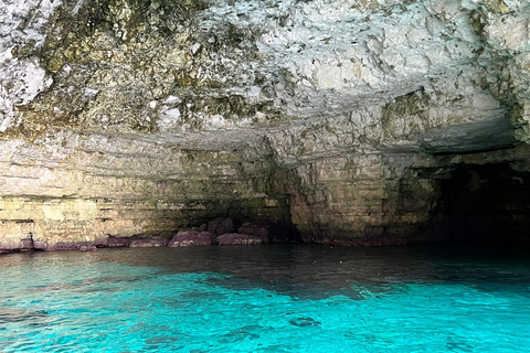 Malta Gozo & Comino: Boat Tour Best Price w/inclusions 2hrs