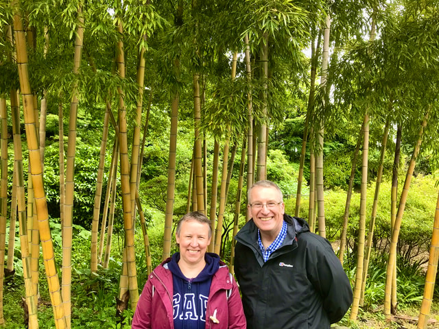 Arashiyama: Bamboo Grove and Temple Tour