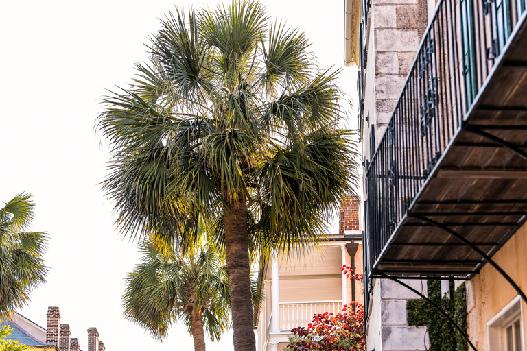 Savannah Paranormal Ghost Walking Tour Savannah: Twilight Ghost Walking Tour