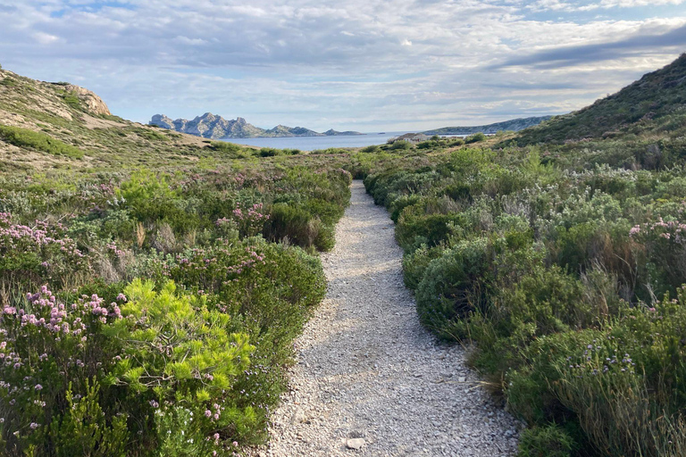 Calanques Ridge Trek with Panoramic Mediterranean Views