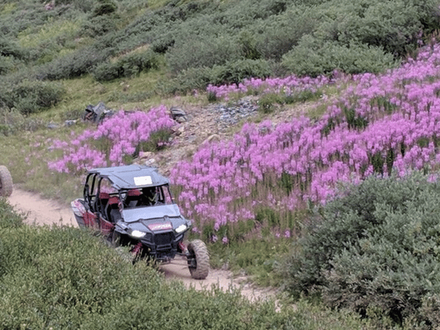 Silverton: Half-Day ATV Offroad Adventure