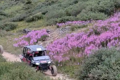 Silverton: Half-Day ATV Offroad Adventure