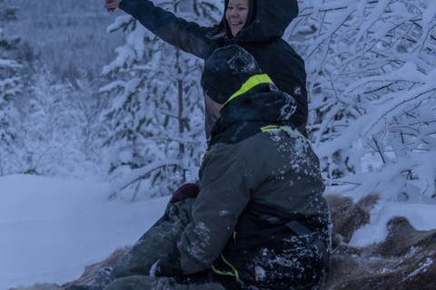 Rovaniemi: giro in slitta trainata da motoslitte con caffè sul fuocoRovaniemi: giro in slitta trainata da motoslitte con caffè davanti al fuoco
