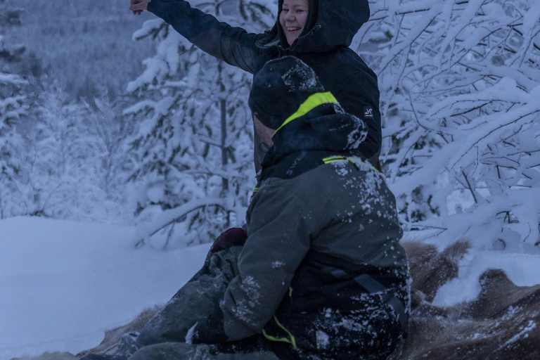 Rovaniemi: giro in slitta trainata da motoslitte con caffè sul fuocoRovaniemi: giro in slitta trainata da motoslitte con caffè davanti al fuoco