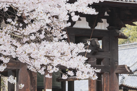 Osaka:Kyoto & Nara & Uji Tour, Todaiji, Fushimi Inari Taisha Nara & Kyoto & Uji Tour | 8:00 AM from Osaka