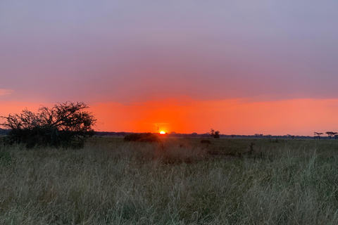 A 4-Days Budget Camping Safari from Arusha