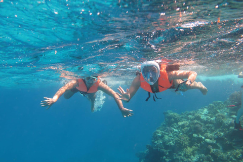 Marsa Alam: Hamata Islands Snorkeling Cruise with Lunch