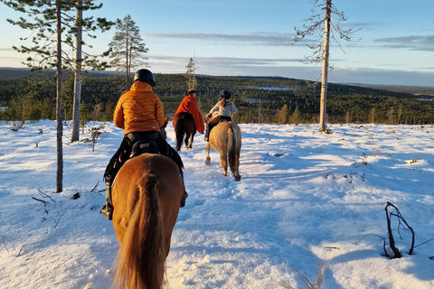 Rovaniemi: Winter Horseback Ride on Snowy Hills and Forests Winter Horseback Ride through the hills + transfer