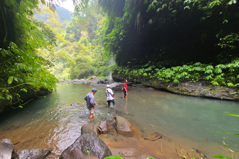 Bali Hidden Trekking, Wasserrutsche, Sekumpul, &amp; Fiji WasserfallAbholung vom Hotel und Rücktransfer zum Hotel inbegriffen