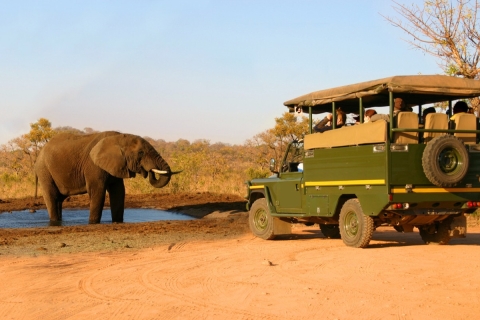 Parc national Queen Elizabeth : safari de 2 jours avec croisière en bateau