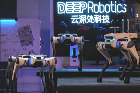 Hangzhou Robots & AI, Future Technology Exhibition Visiting Hangzhou Exhibition Visiting with Car Transfer