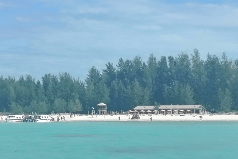 Kota Kinabalu: 4-Day Tour, Nature, River and City