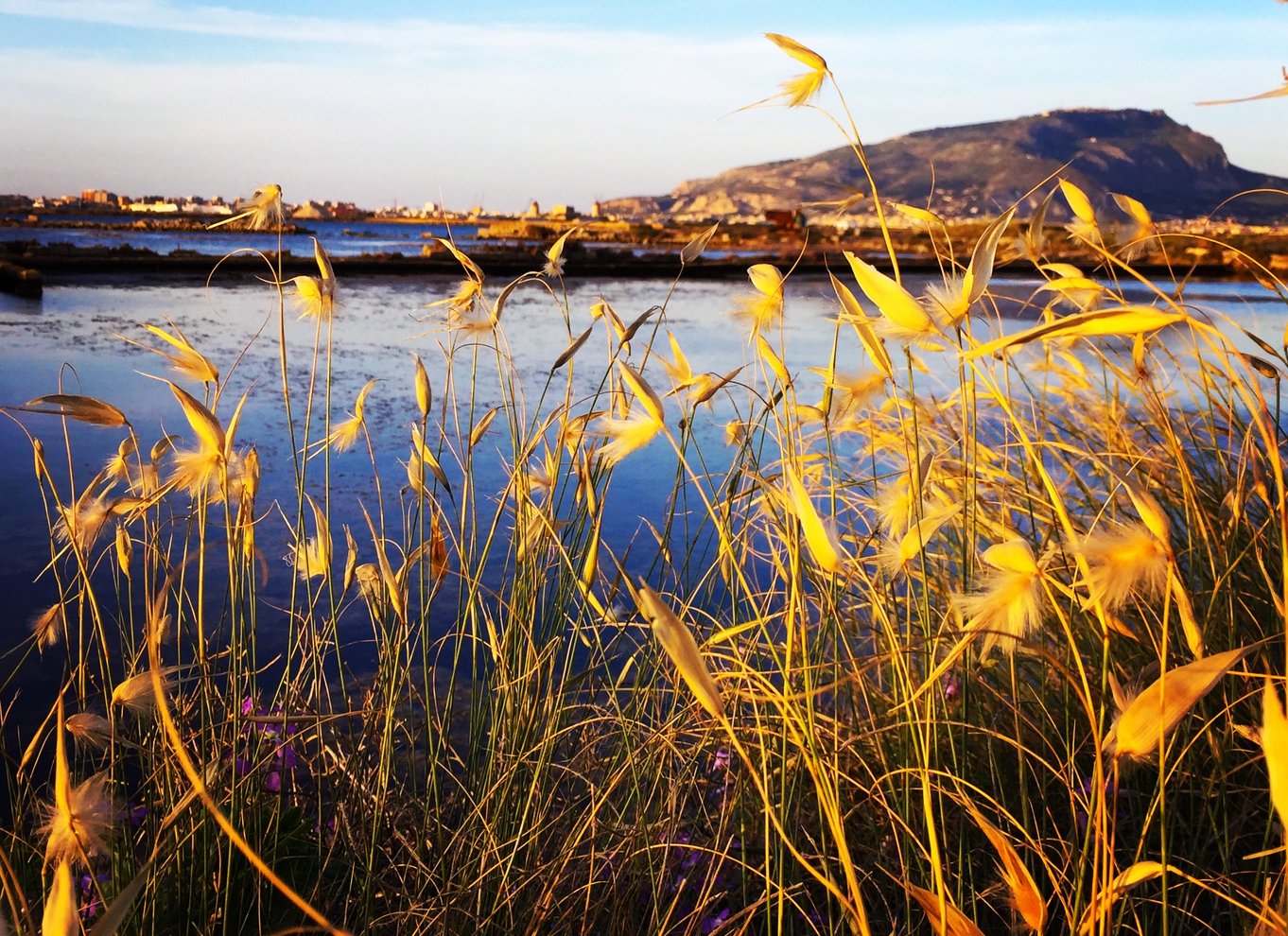 Trapani: 2 timers tur til Salt Flats