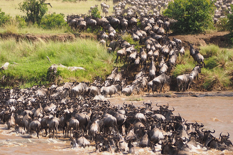 Serengeti and Ngorongoro: 2-Night 3-Day Camping Safari Group Tour with Lodge Accommodation