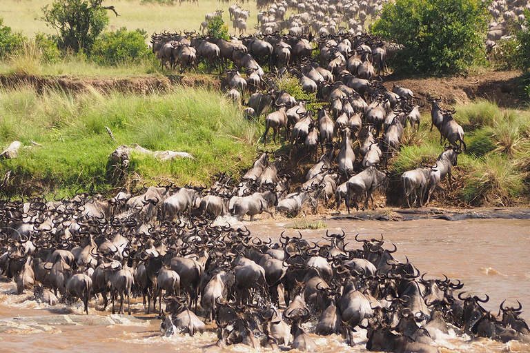 Serengeti i Ngorongoro: 2-dniowe 3-dniowe safari safariWycieczka grupowa z zakwaterowaniem w domku