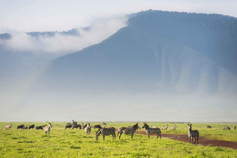 Serengeti and Ngorongoro: 2-Night 3-Day Camping Safari Group Tour with Lodge Accommodation