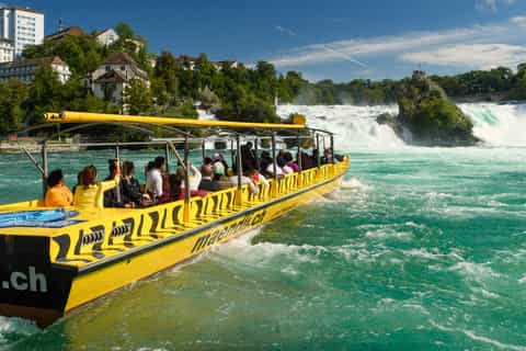 Passeio de barco pelas Cataratas do Reno até a rocha