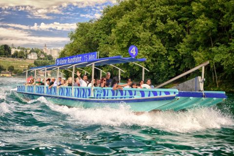 Rhine Falls: 15-Minute Boat Tour