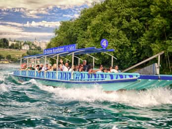 Chutes du Rhin : excursion en bateau de 15 minutes