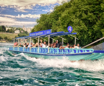Rhine Falls: 15-Minute Boat Tour