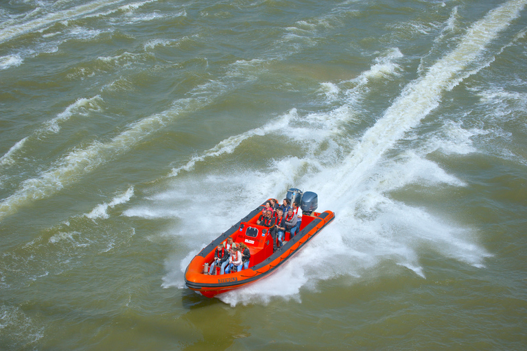 Rotterdam: privévaart op de Maas in een speedboot