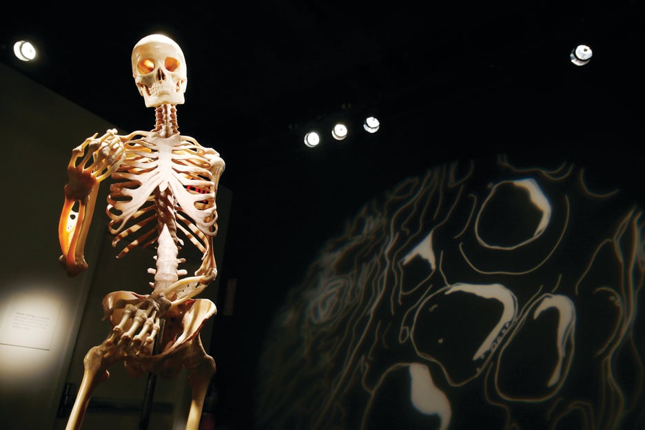 Las Vegas: BODIES | The Exhibition at the Luxor
