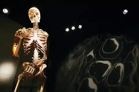 BODIES | The Exhibition at the Luxor