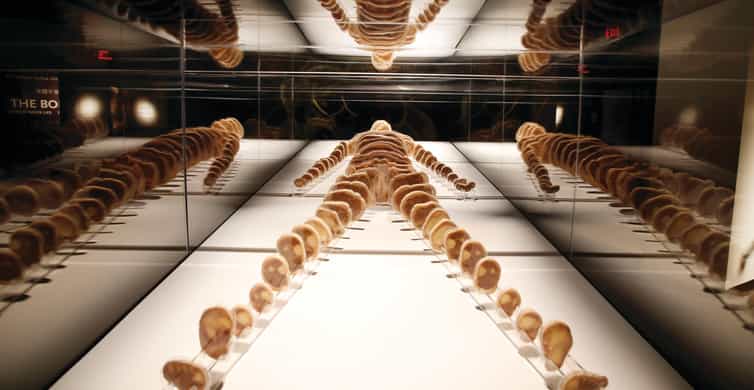 Las Vegas: BODIES | The Exhibition at the Luxor photo 8