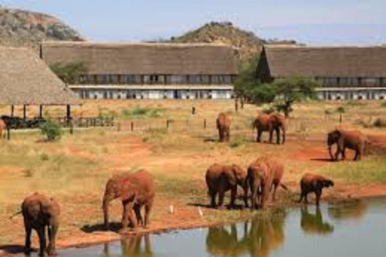 Diani: 5-Day Safari with Tsavo East National Park
