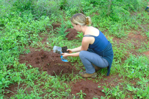 14Days Volunteer Community Wildlife Sanctuary (14 dias de voluntariado no santuário de vida selvagem da comunidade)