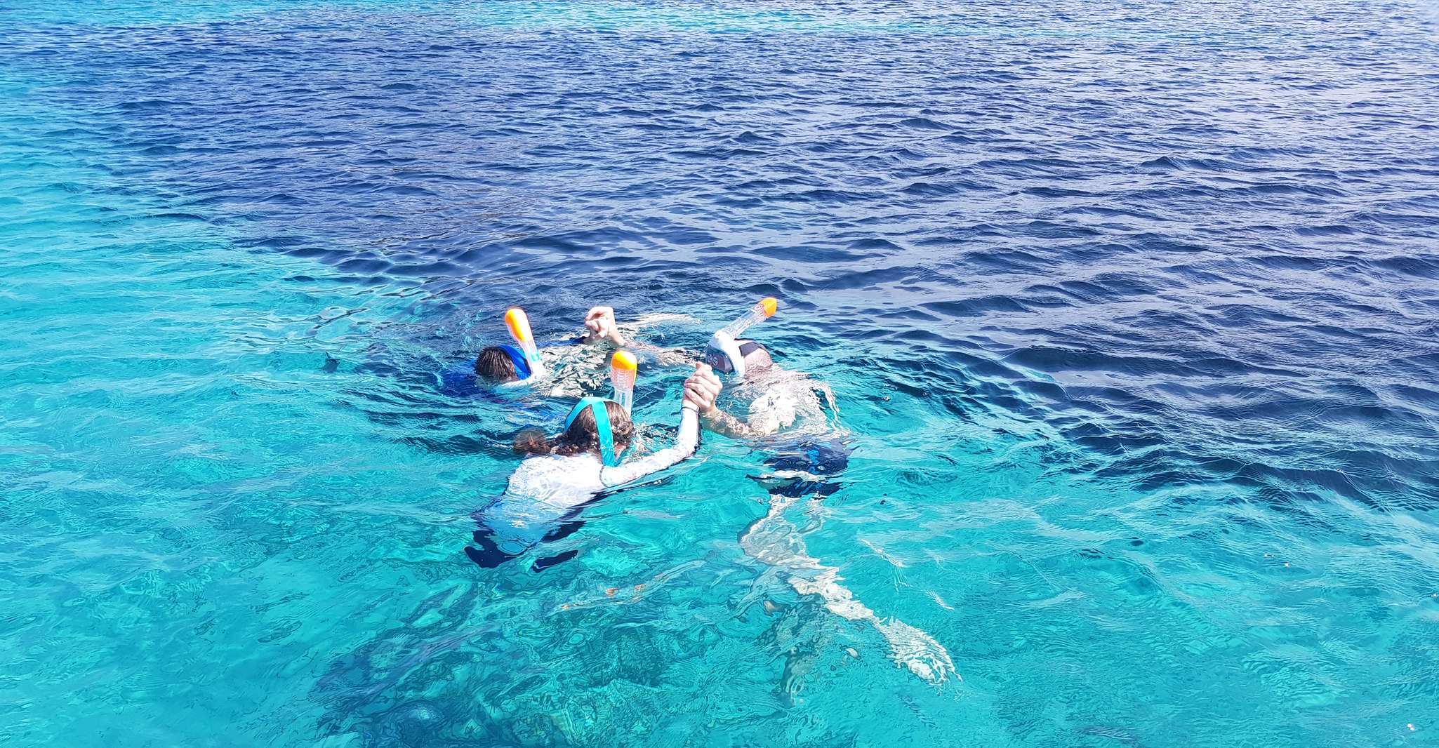 Olbia, Dolphin Watching & Snorkeling Boat Tour near Figarolo - Hizvo