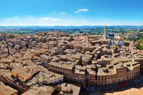 From Livorno: Siena and Chianti Day Trip with Wine Tasting