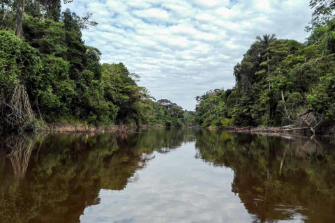 1D Adventure in Pacaya Samiria: Piranha Fishing