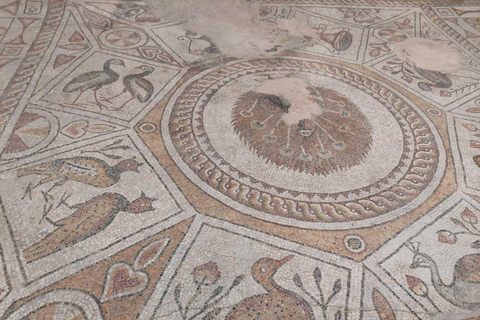 From Sofia: Plovdiv Half-Day Guided Tour