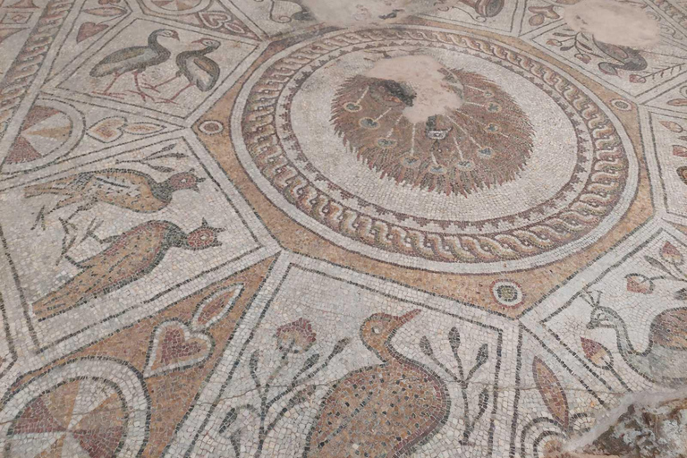 From Sofia: Plovdiv Half-Day Guided Tour