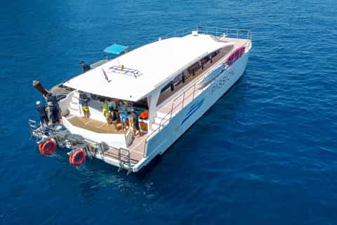 Phuket: Full-Day Phi Phi Islands Trip by Luxury Catamaran