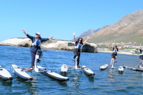 Cape Town: Water Biking Tour 1-Hour Tour