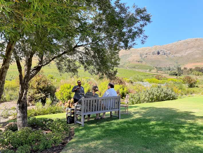 Stellenbosch: Best Of The Winelands Private Tour & Tastings | GetYourGuide