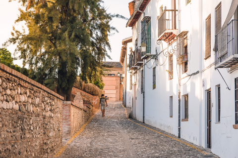 Granada: Muslim Monuments Entrance Tickets