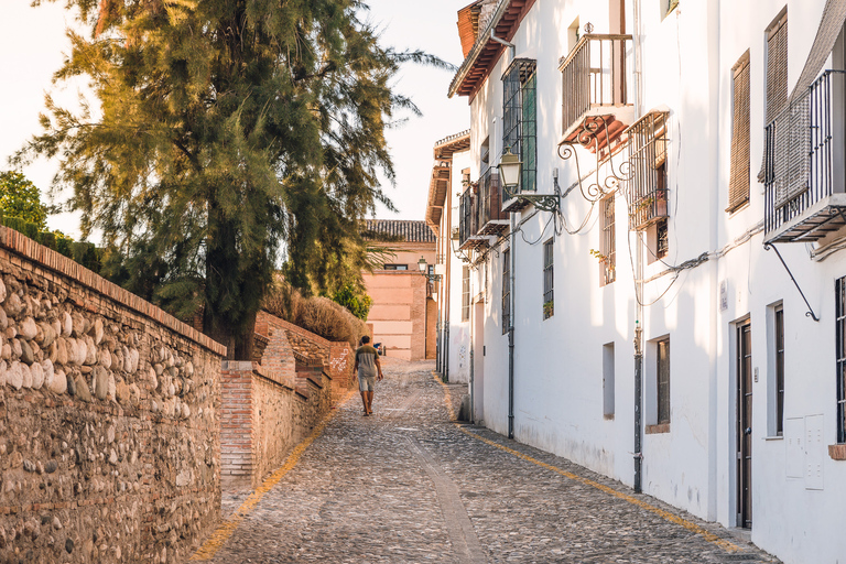 Granada: biglietti d&#039;ingresso ai monumenti musulmani