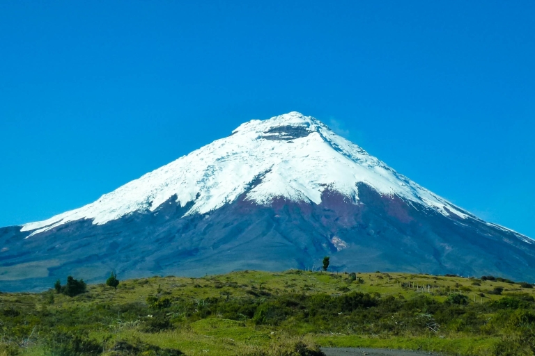 From Quito: 4-Day Nature & Culture Tour From Quito: 4-Day Best of Ecuador Tour
