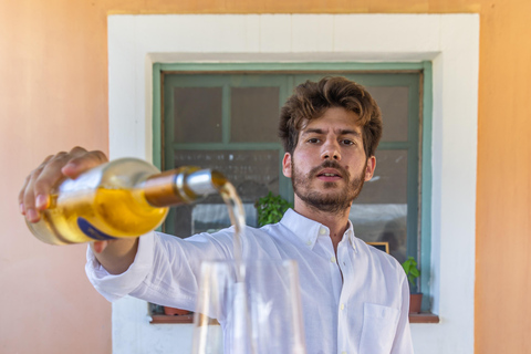 Rhodes: Filerimos & Valley of the Butterflies & Wine Tasting Tour With Pick up From FALIRAKI & KALLITHEA