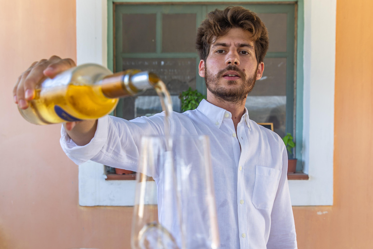 Rhodes: Filerimos & Valley of the Butterflies & Wine Tasting Tour With Pick up From FALIRAKI & KALLITHEA